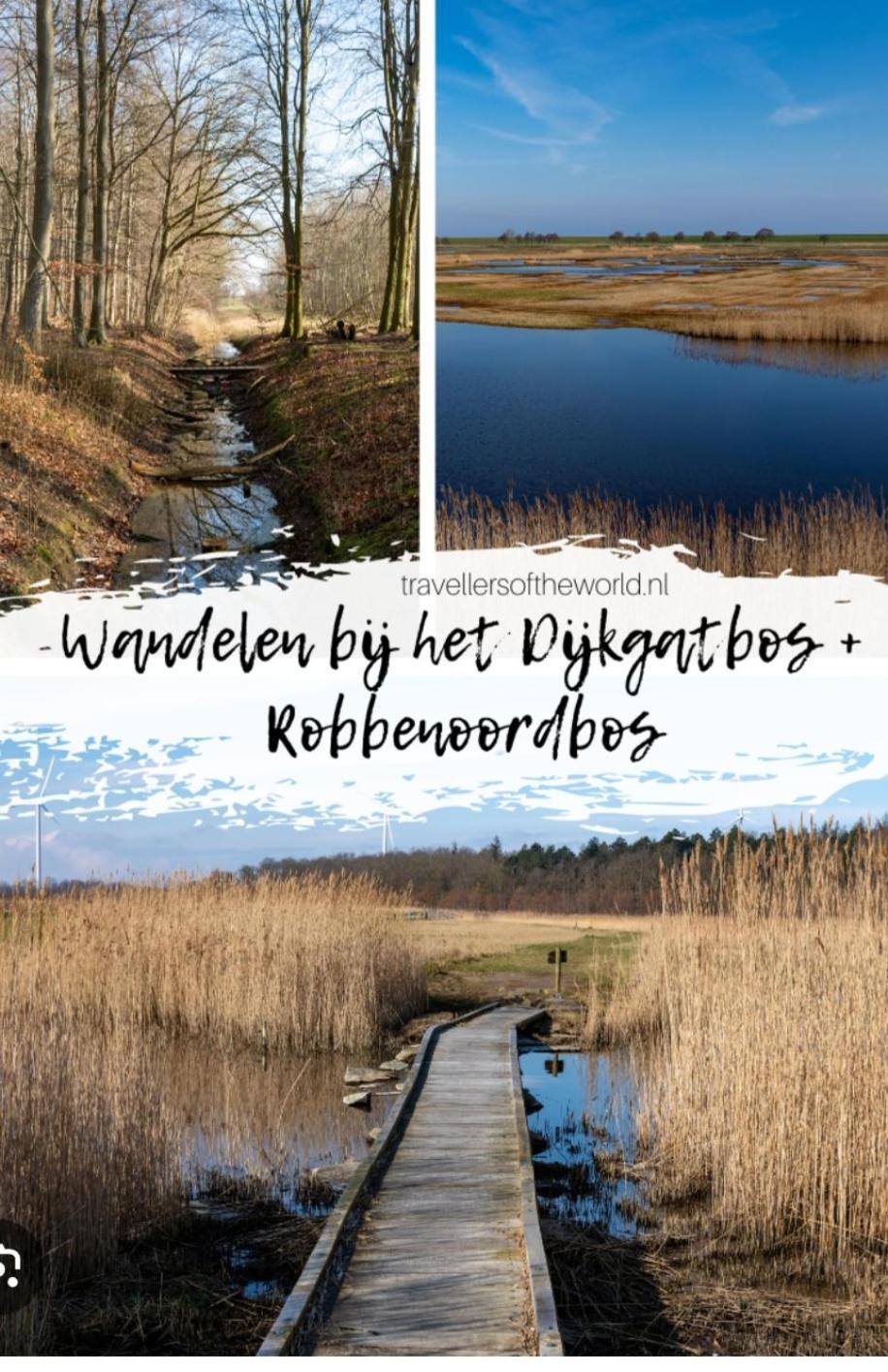 Am Treis Villa Wieringerwerf Eksteriør bilde